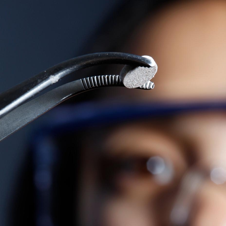 Photo of a researcher looking at a silver disc held by a curved hemostat