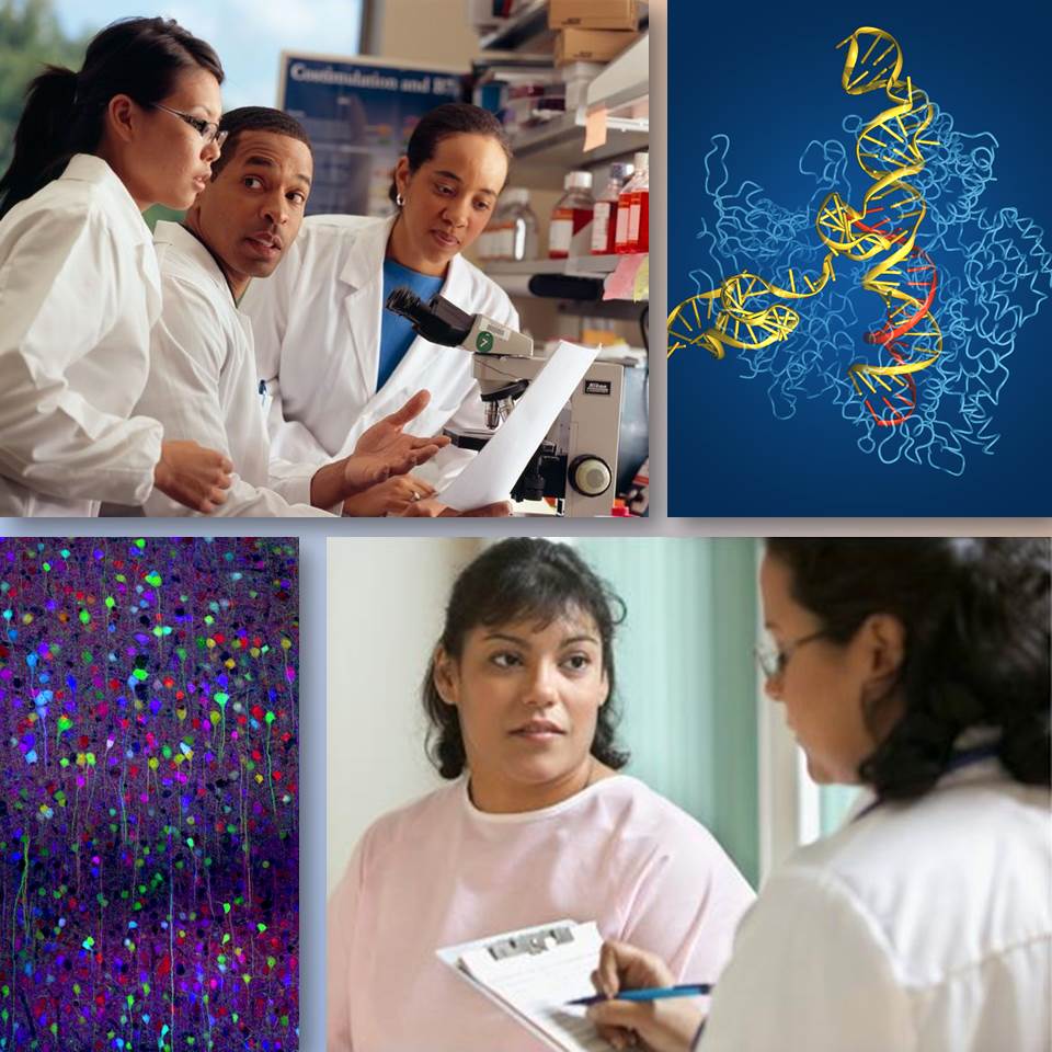 Collage of scientists, clinical research, and science images