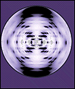 Image of a circle with purple striations in an X pattern.