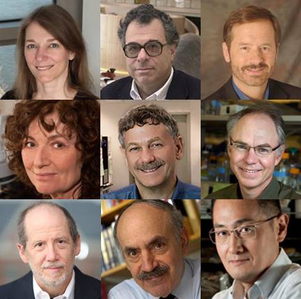 Faces of the NIH grantees receiving the Breakthrough Prize in the Life Sciences (as listed below)