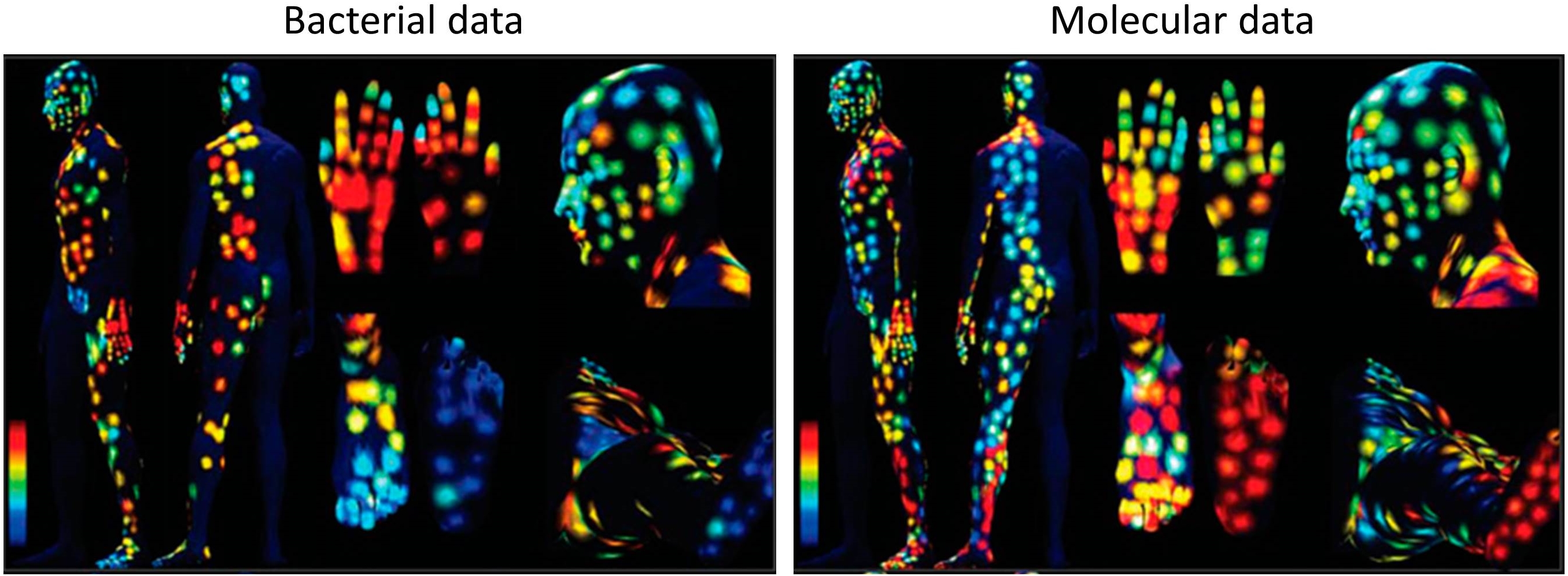 3D molecular topographical skin maps