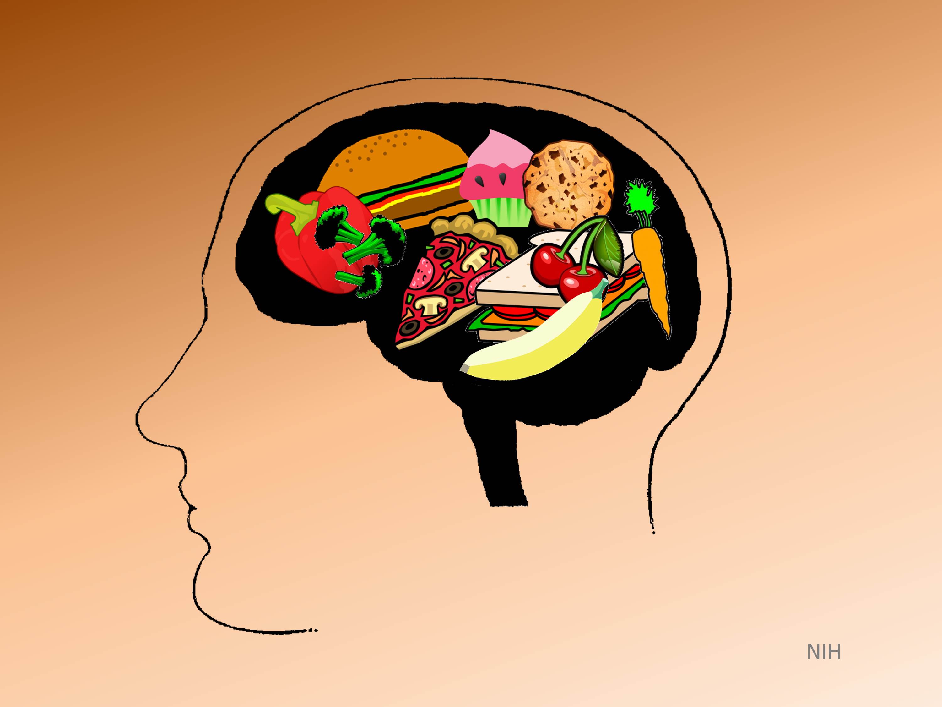 Brain on Food