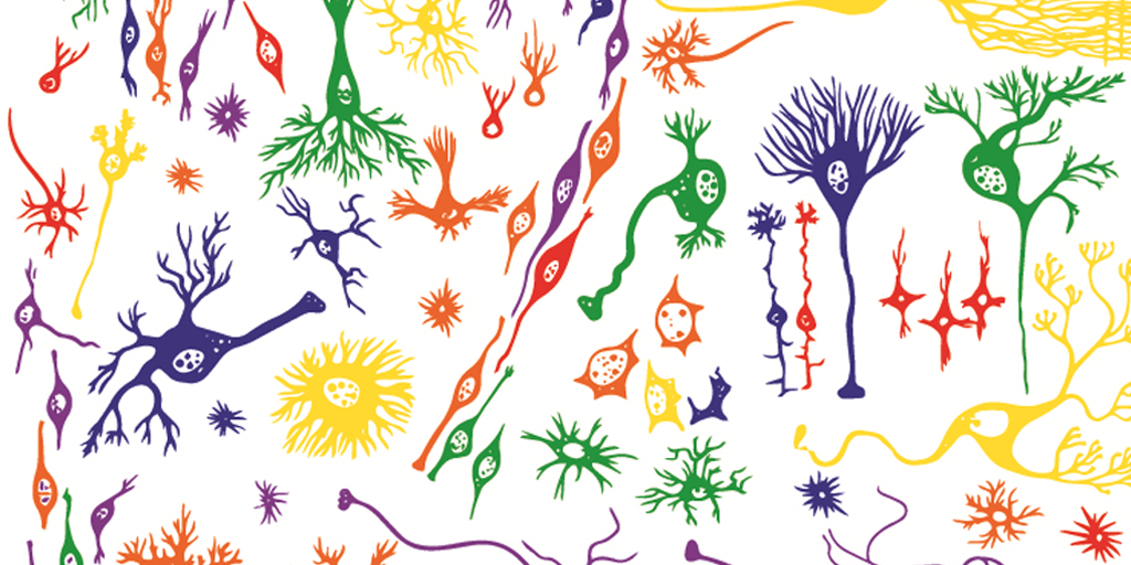 Variations within neurons