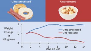 Dietary Weight Gain and Loss