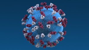 Measles virus particle