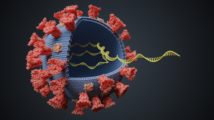 RNA Virus