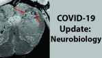 COVID-19 Update: Neurobiology