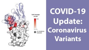 COVID-19 Update-Coronavirus Variants