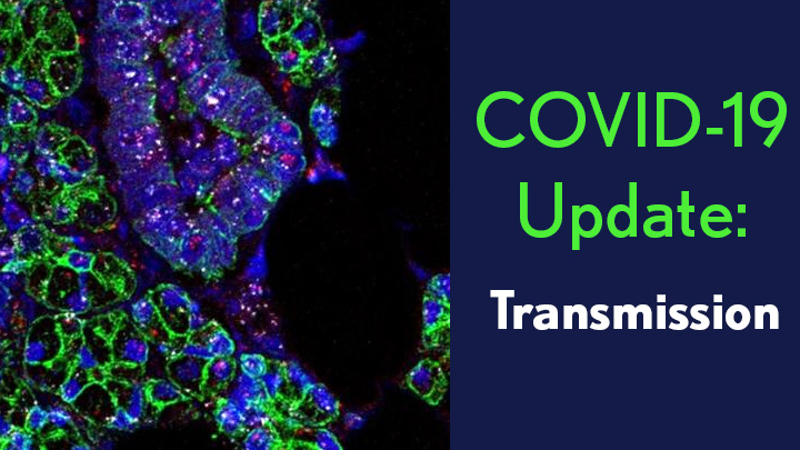COVID-19 Update: Transmission