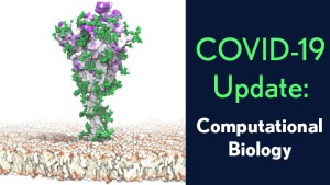 COVID-19 Update: Computational Biology