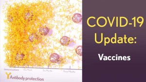 COVID-19 Update: Vaccines. Antibody protection. Many antibodies partially cover viruses