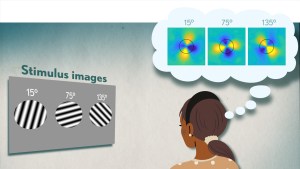 Stimulus images are disks of angled lines. A thought bubble shows similar angles in her thoughts