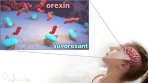 inset of suvorexant blocking receptors for orexin, a sleeping woman
