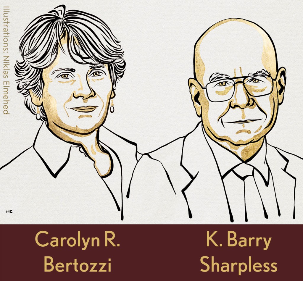 Illustrations of Carolyn R. Bertozzi and K. Barry Sharpless drawn by Niklas Elmehed