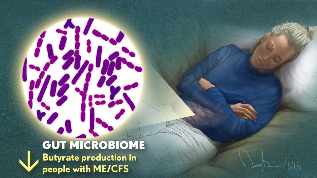 Gut microbiome. Butyrate production in people with ME/CFS goes down. Microscopic view of gut microbes from a woman sleeping