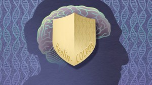 A brain is covered with a protective shield decorated with DNA and labeled Reelin-COLBOS