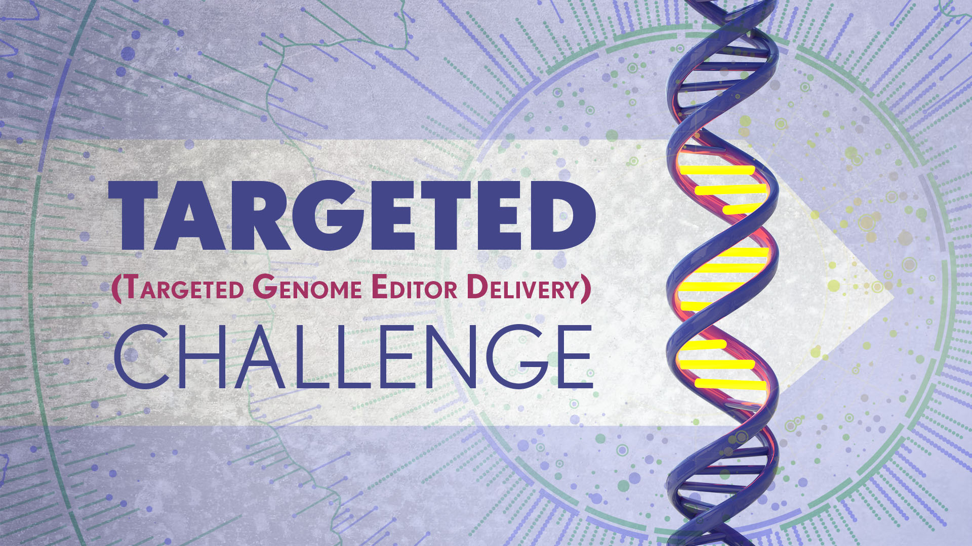 Targeted (Targeted Genome Editor Delivery) Challenge. A strand of DNA with a number of glowing base pairs being targeted with an arrow